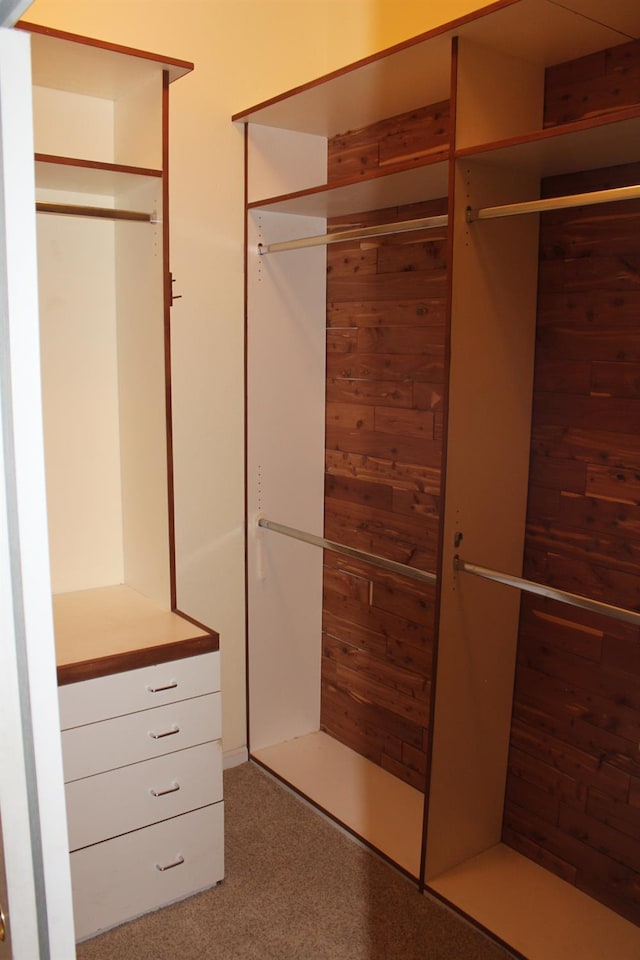 373 W Houston Ave, Clovis, CA 93611 - spacious closet featuring carpet floors