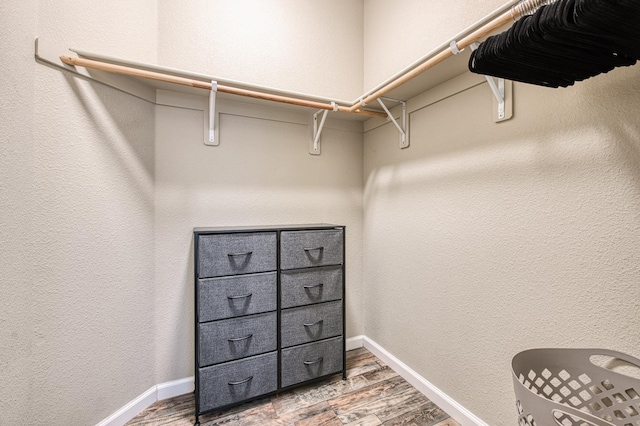 spacious closet featuring light wood finished floors