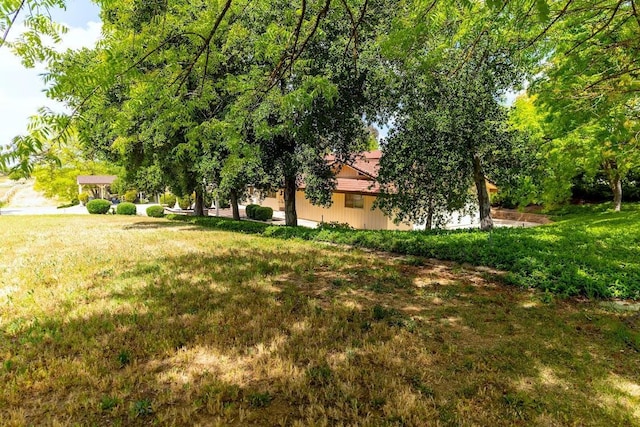 16895 Rd 30 1/2, Madera, CA 93636 - view of green lawn