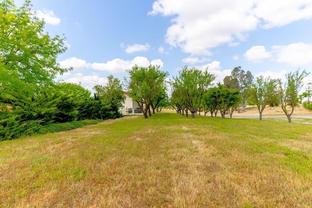 16895 Rd 30 1/2, Madera, CA 93636 - view of green lawn