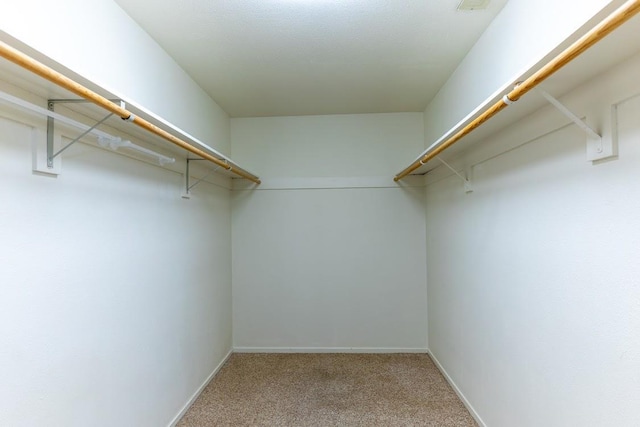 16895 Rd 30 1/2, Madera, CA 93636 - spacious closet with carpet floors