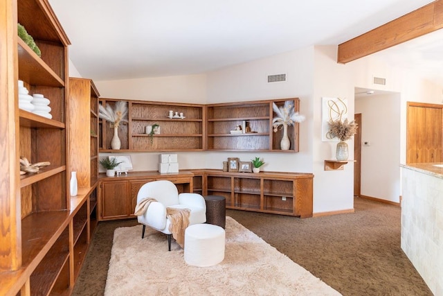 16895 Rd 30 1/2, Madera, CA 93636 - carpeted home office with baseboards