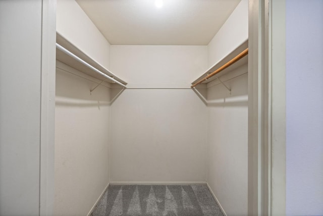 5664 Clouds Rst, Mariposa, CA 95338 - walk in closet with carpet flooring