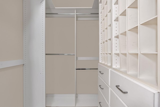 10717 N Bunkerhill Dr, Fresno, CA 93730 - view of walk in closet