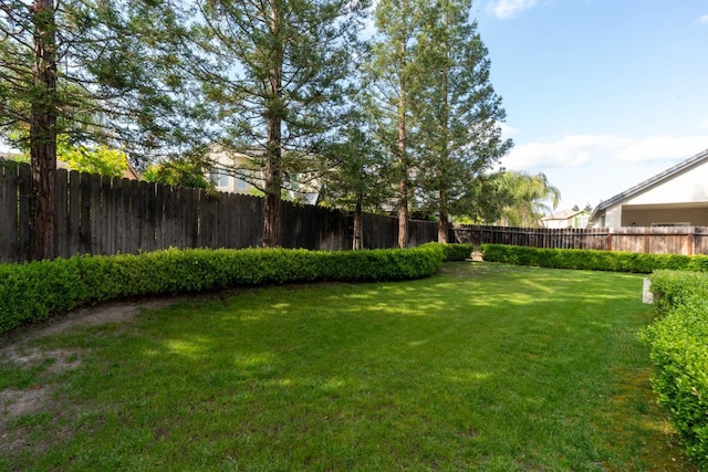 10717 N Bunkerhill Dr, Fresno, CA 93730 - view of yard