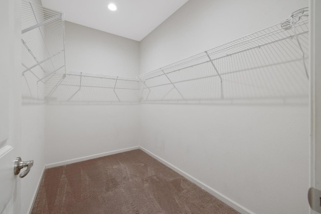 6326 W Sweet Ct, Visalia, CA 93291 - walk in closet featuring carpet flooring