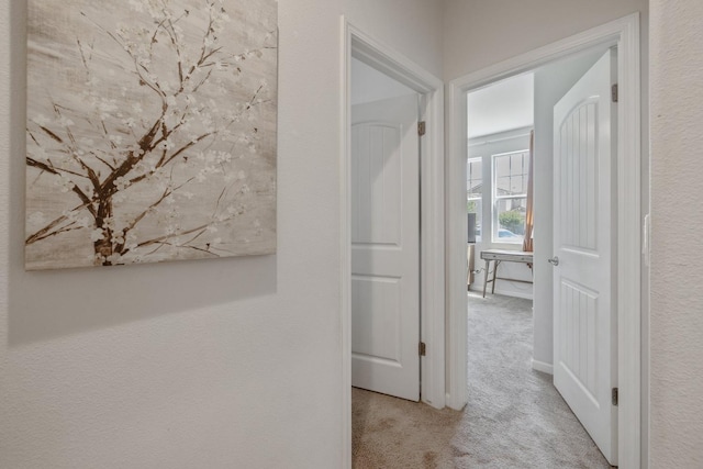 6326 W Sweet Ct, Visalia, CA 93291 - hallway with carpet floors