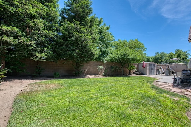 view of yard featuring a storage unit, an outbuilding, and a patio area