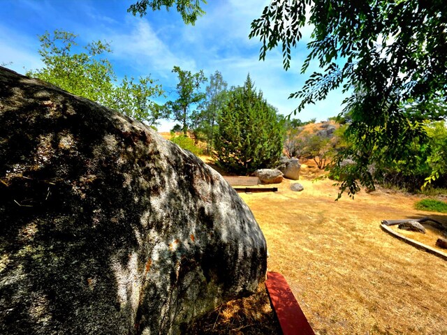 41549 Long Hollow Dr, Coarsegold, CA 93614 - view of yard
