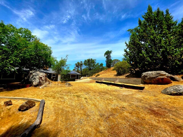 41549 Long Hollow Dr, Coarsegold, CA 93614 - view of yard