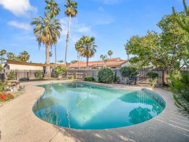 view of swimming pool featuring a fenced backyard