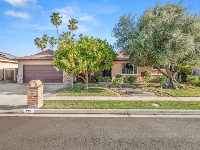 view of property hidden behind natural elements with concrete driveway, stucco siding, a garage, and a front lawn