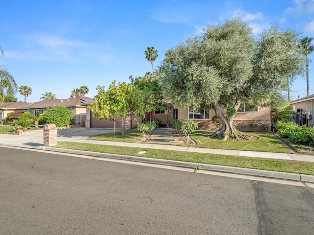 obstructed view of property featuring driveway, an attached garage, and a front yard