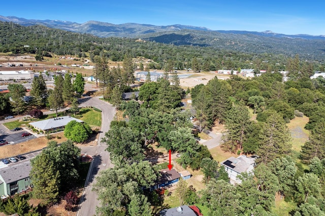 48220 White Oak Dr, Oakhurst, CA 93644 - photo 26