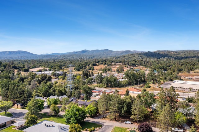 48220 White Oak Dr, Oakhurst, CA 93644 - photo 31