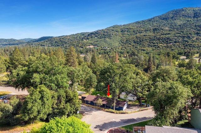 48220 White Oak Dr, Oakhurst, CA 93644 - photo 29