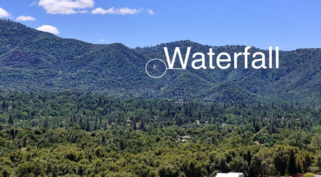 42177 Lone Olive Ln, Ahwahnee, CA 93601 - view of mountain backdrop featuring a forest