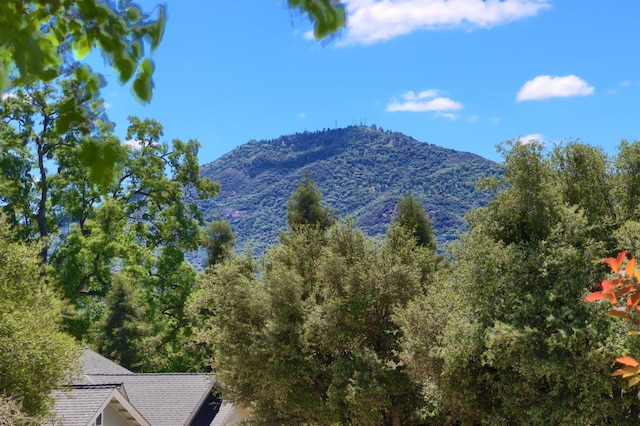 42177 Lone Olive Ln, Ahwahnee, CA 93601 - view of mountain backdrop