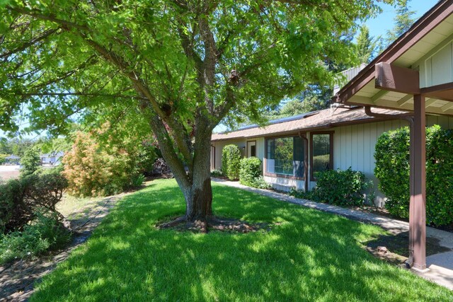 42177 Lone Olive Ln, Ahwahnee, CA 93601 - view of green lawn