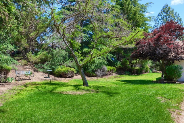 42177 Lone Olive Ln, Ahwahnee, CA 93601 - view of grassy yard