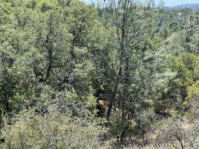 3608 Ramblin Rd, Mariposa, CA 95338 - photo 8