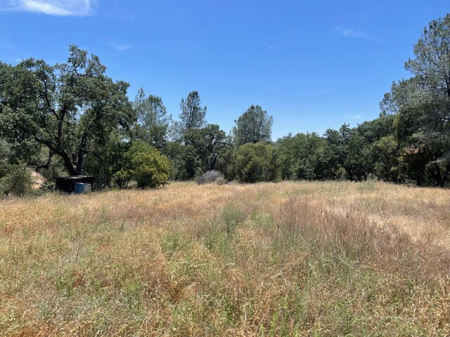 3608 Ramblin Rd, Mariposa, CA 95338 - photo 2