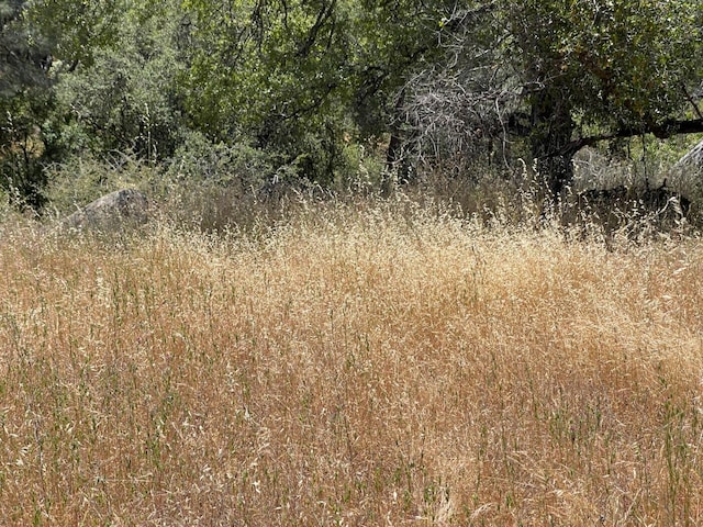3608 Ramblin Rd, Mariposa, CA 95338 - photo 7