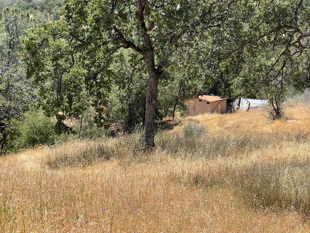 3608 Ramblin Rd, Mariposa, CA 95338 - photo 6