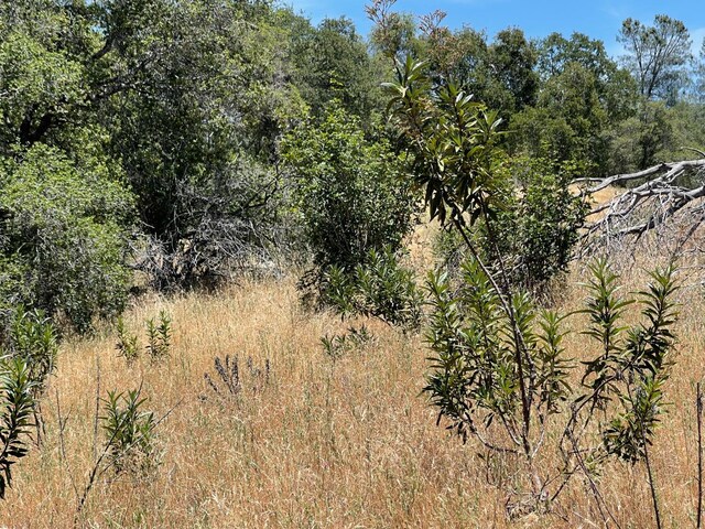 3608 Ramblin Rd, Mariposa, CA 95338 - photo 5