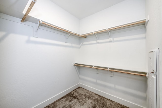 2613 W Mallard, Hanford, CA 93230 - spacious closet featuring carpet flooring