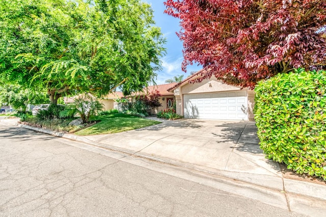 6211 N Cleo Ave, Fresno, CA 93722 - obstructed view of property with driveway, stucco siding, and an attached garage