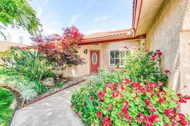 6211 N Cleo Ave, Fresno, CA 93722 - entrance to property featuring stucco siding and a tiled roof