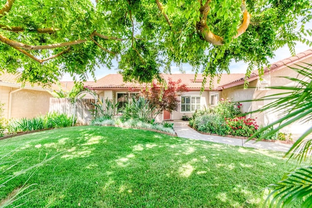 6211 N Cleo Ave, Fresno, CA 93722 - view of yard