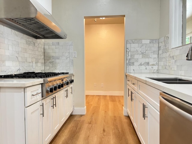 7013 N Maroa Ave, Pinedale, CA 93650 - kitchen with appliances with stainless steel finishes, under cabinet range hood, a sink, tasteful backsplash, and light wood-type flooring