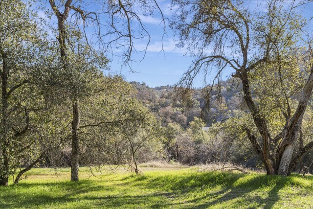37985 Waxberry Ln, Yokuts Valley, CA 93675 - photo 45