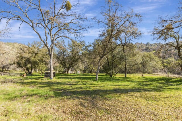 37985 Waxberry Ln, Yokuts Valley, CA 93675 - photo 43