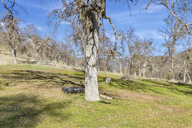 37985 Waxberry Ln, Yokuts Valley, CA 93675 - photo 47
