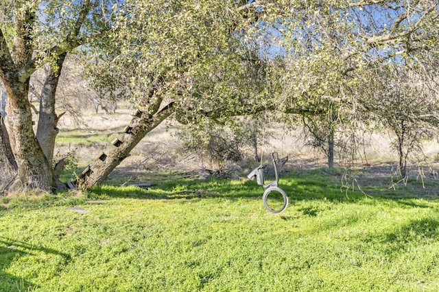 37985 Waxberry Ln, Yokuts Valley, CA 93675 - photo 48