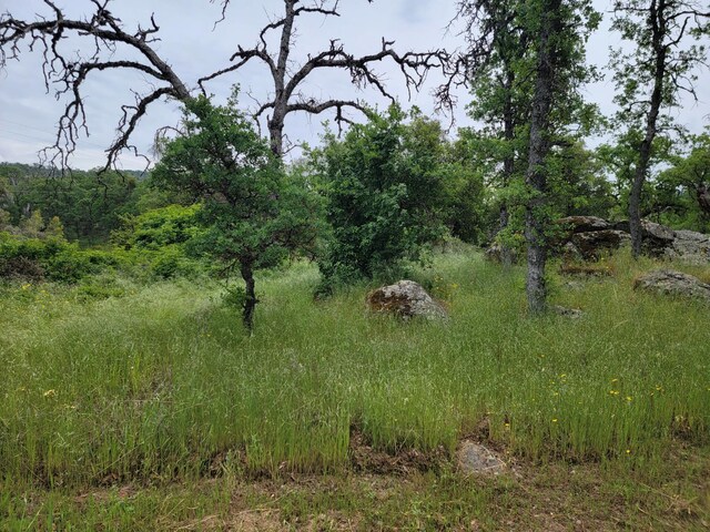 0 Sage Ln, Yokuts Valley, CA 93675