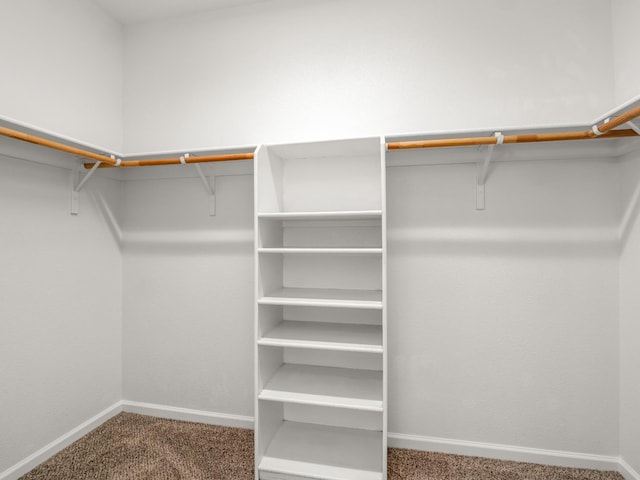 1585 Dallas St, Dinuba, CA 93618 - walk in closet with carpet flooring