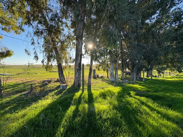 33674 Rd 600, Raymond, CA 93653 - photo 23