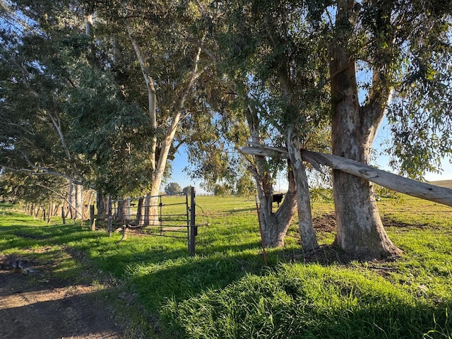 33674 Rd 600, Raymond, CA 93653 - photo 15