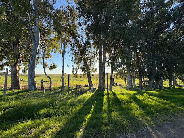 33674 Rd 600, Raymond, CA 93653 - photo 16