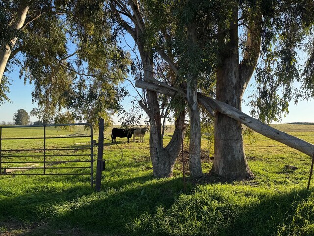 33674 Rd 600, Raymond, CA 93653 - photo 13