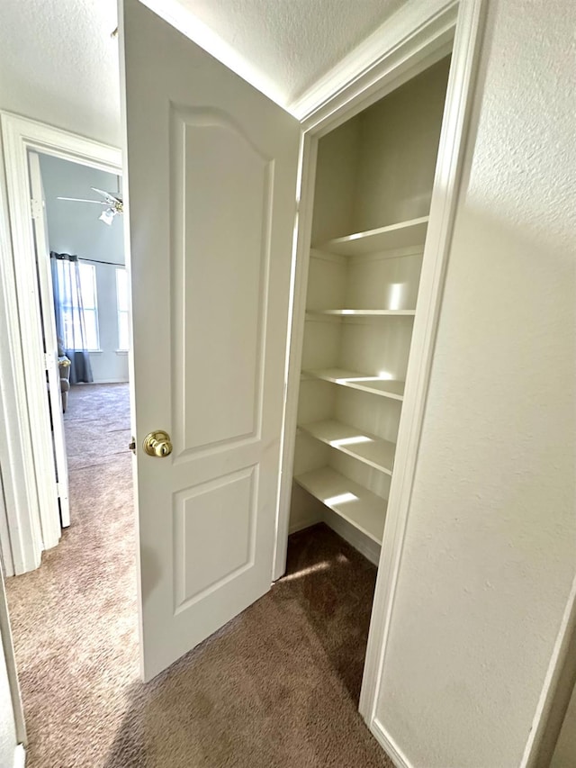 5838 W Fallon Ave, Fresno, CA 93722 - photo 7