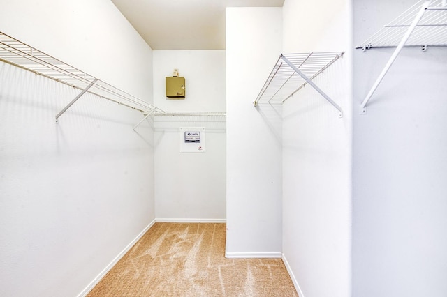 83 W Bohemia Ln, Clovis, CA 93619 - walk in closet with carpet floors