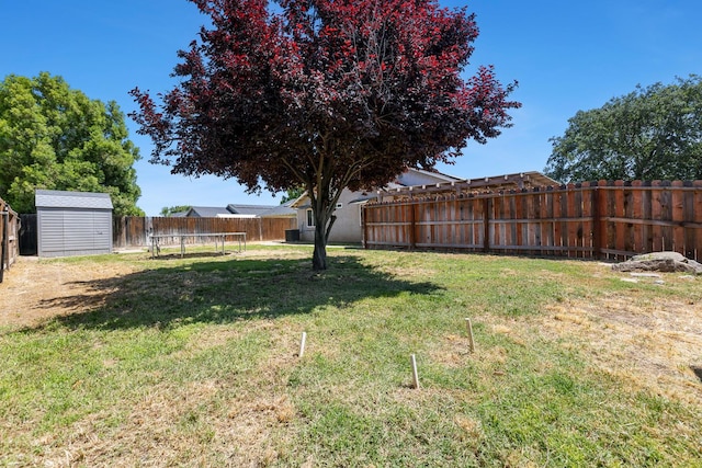 view of yard featuring a trampoline