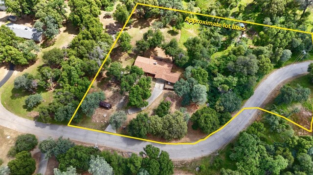 51864 Mountain Quail Pl, Oakhurst, CA 93644 - photo 47