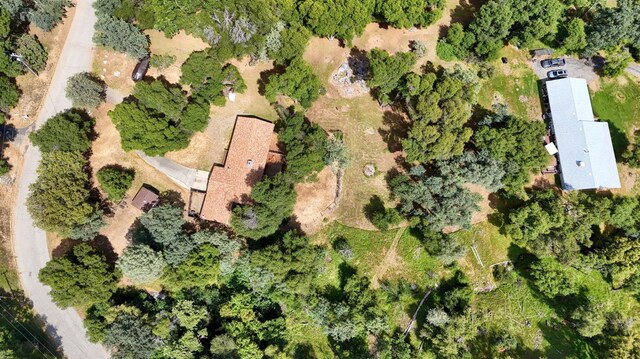 51864 Mountain Quail Pl, Oakhurst, CA 93644 - photo 45