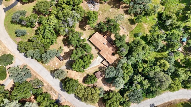 51864 Mountain Quail Pl, Oakhurst, CA 93644 - photo 44